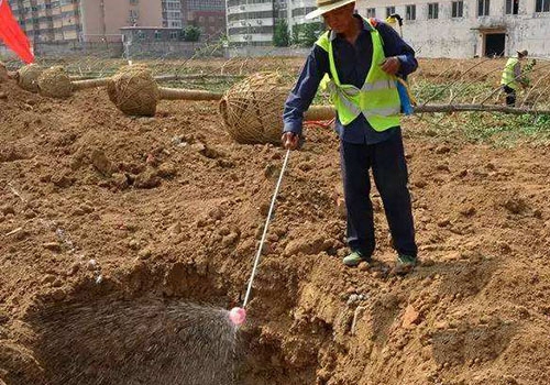 园林绿化施工